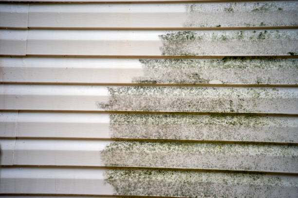 Best Construction Debris Removal  in Homosassa, FL