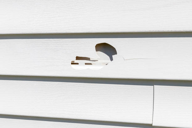 Best Garage Cleanout  in Homosassa, FL