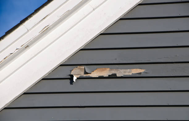 Best Same-Day Junk Removal Services  in Homosassa, FL