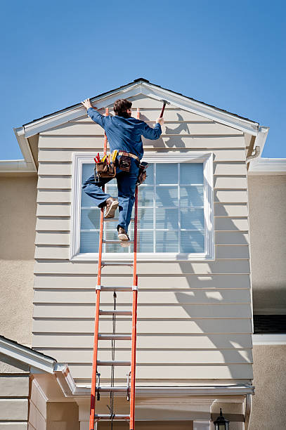 Best Shed Removal  in Homosassa, FL